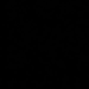 Meet your Posher, Mimi